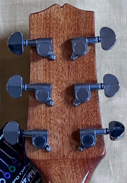 Turner RB 20 round back electro-acoustic. - Image 8