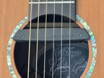 JHS Vintage Gordon Giltrap VE2000DLX electro-acoustic guitar - Image 6
