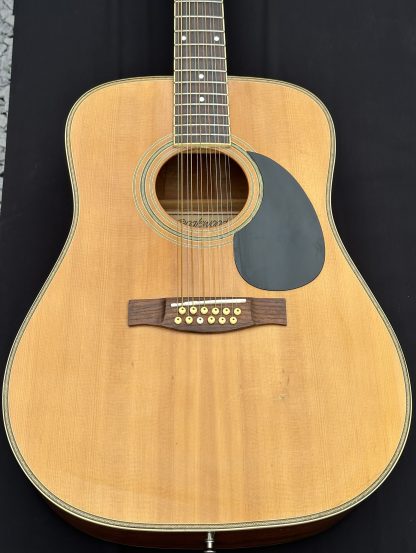 Tanglewood 12 String body