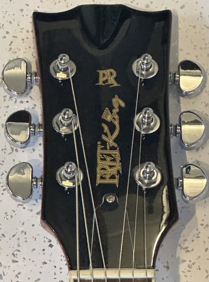 Fret King Eclat Custom Paul Rose Signature electric guitar - Image 5
