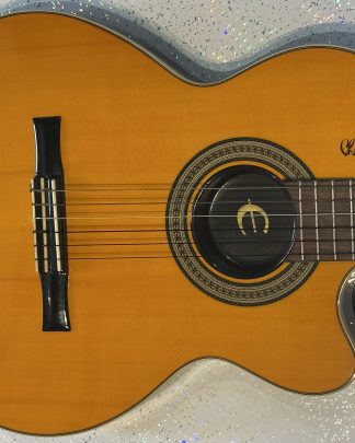 Chet Atkinson guitar body