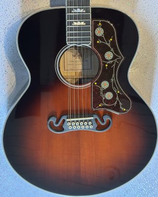 Wig a 12 string body