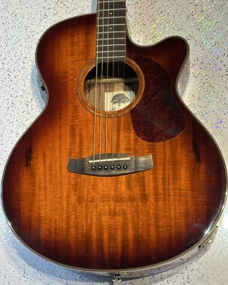 Tanglewood body