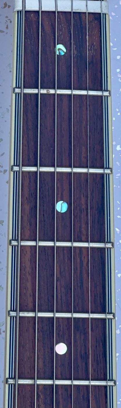 Adam Black JA-15 hollow body electric guitar - Image 5