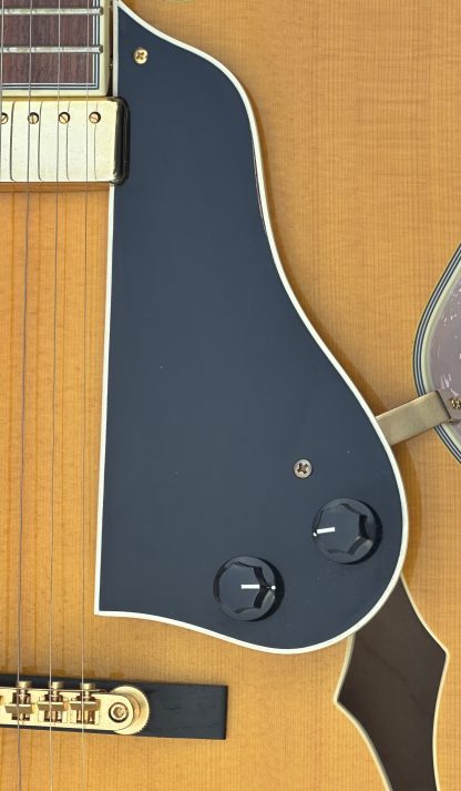 Adam Black JA-15 hollow body electric guitar - Image 7