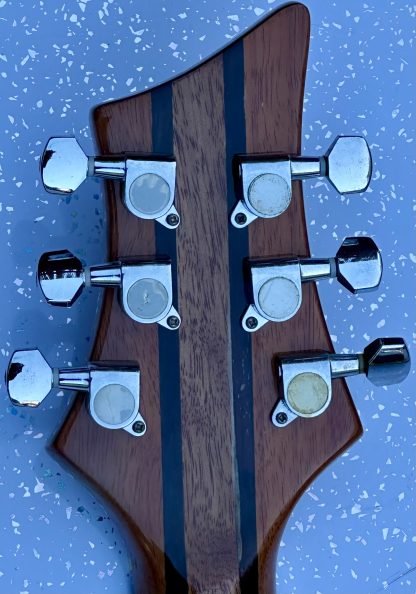 Roberts skeleton electric guitar - Image 6