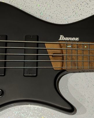 Ibanez bass body