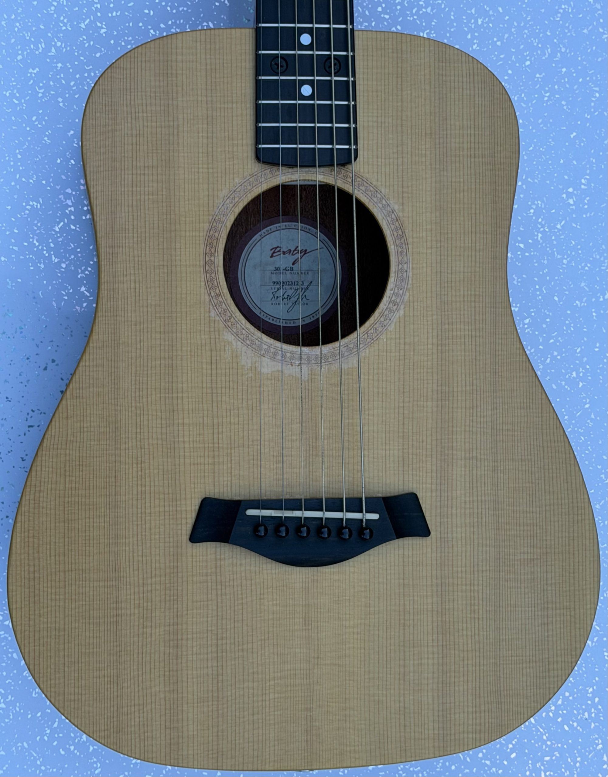 Taylor Guitar body