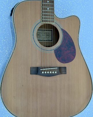 Freshman guitar body