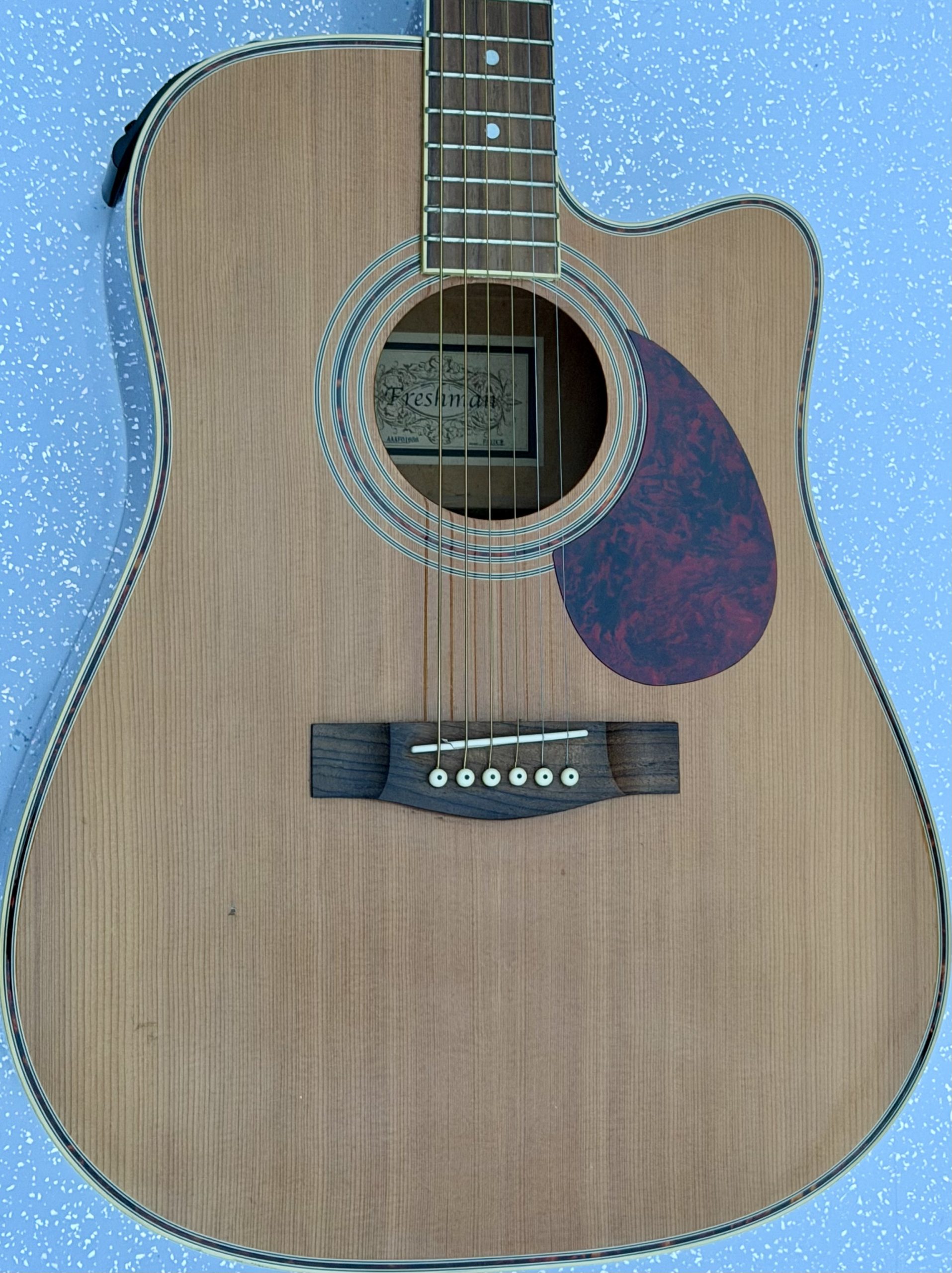 Freshman guitar body